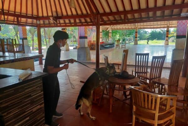Latihan Bersama Unit K9 BNNP Bali dan Unit K9 Polda Bali yang bertujuan untuk melatih kemampuan Pawang dan Satwa K9.