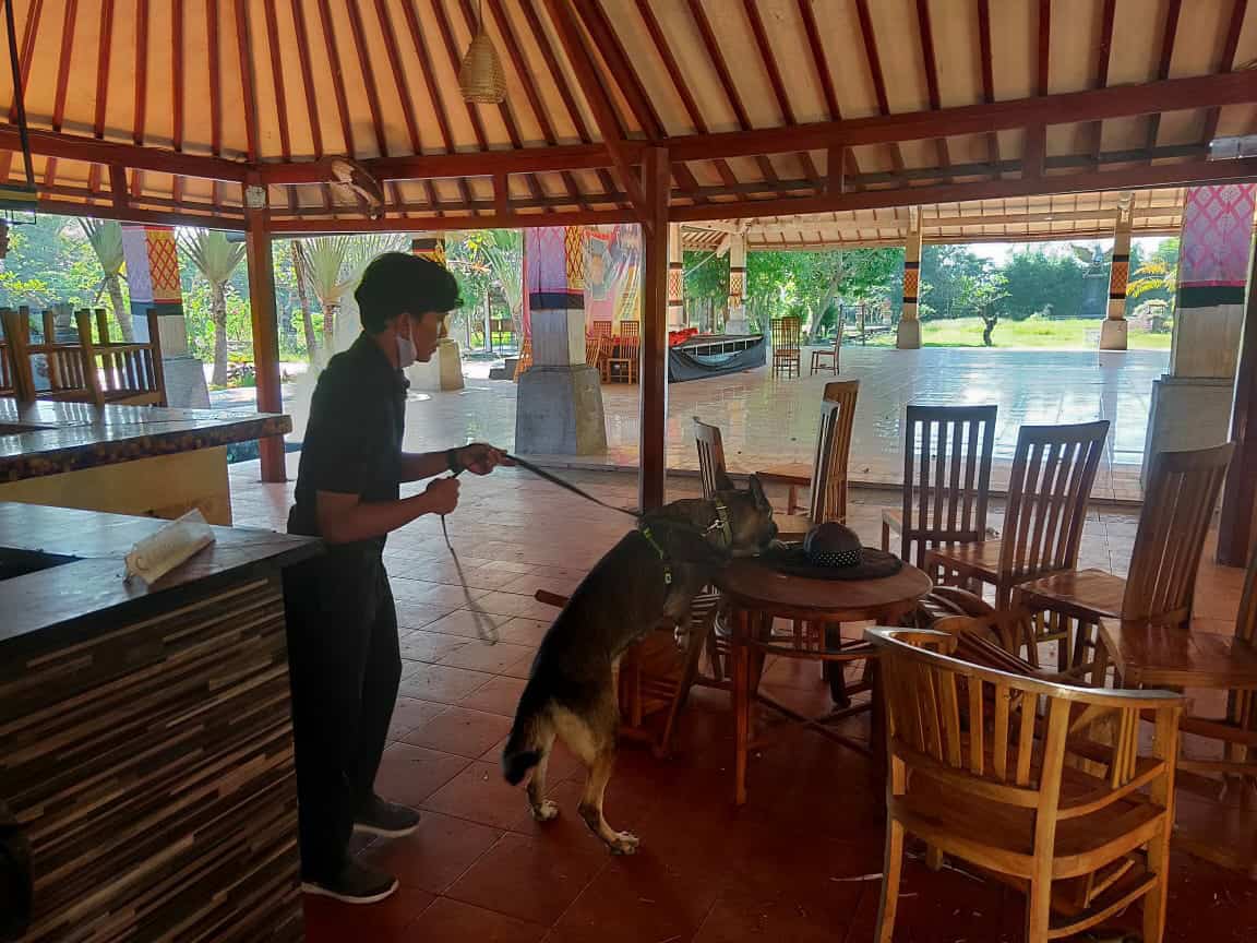 Latihan Bersama Unit K9 BNNP Bali dan Unit K9 Polda Bali yang bertujuan untuk melatih kemampuan Pawang dan Satwa K9. Latihan Bersama Unit K9 BNNP Bali dan Unit K9 Polda Bali yang bertujuan untuk melatih kemampuan Pawang dan Satwa K9.