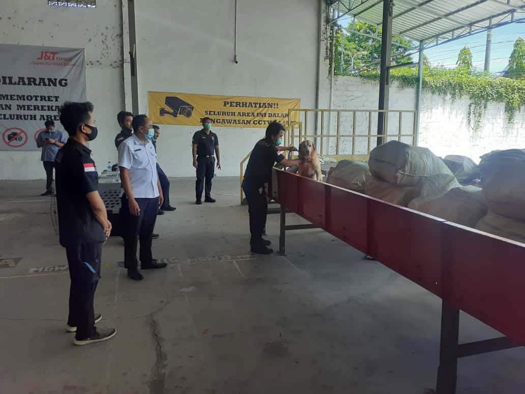 Sinergitas BNNP Bali dan Kanwil BC Bali Dalam Kegiatan Deteksi Barang Bermuatan Narkotika di Perusahaan Jasa Titipan (PJT)