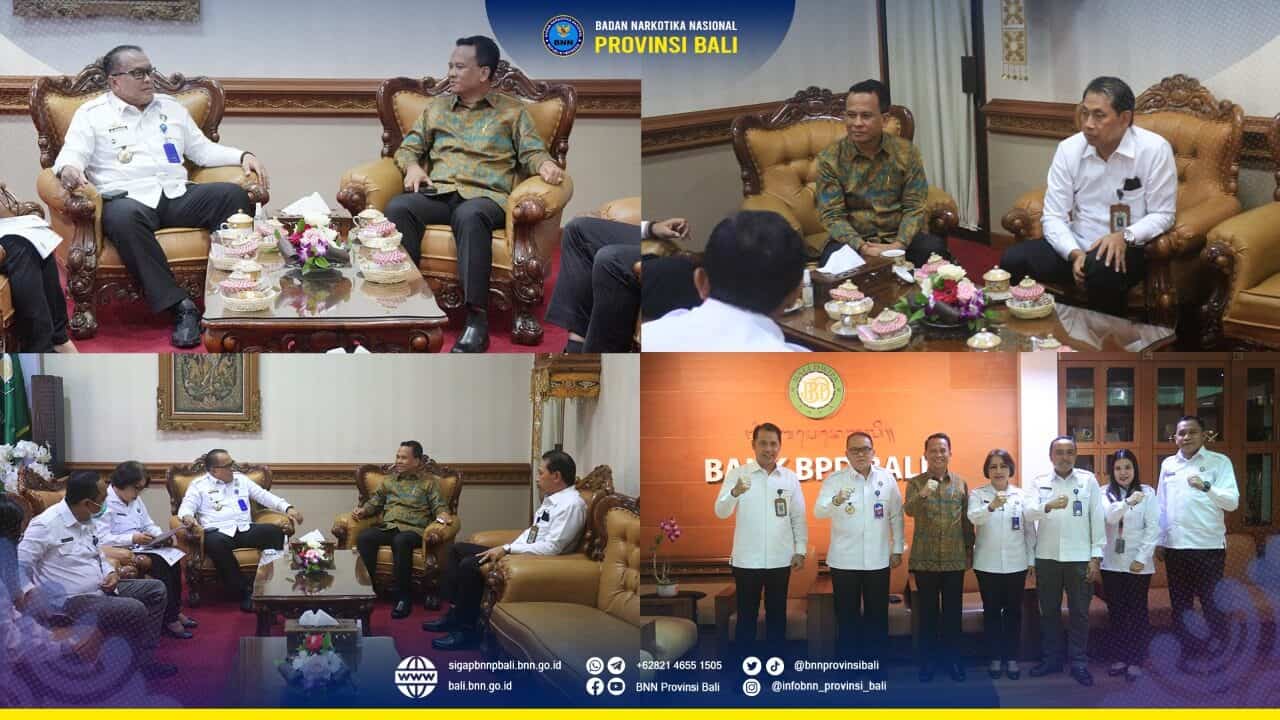Audiensi kepada Ida Pangelingsir Agung Putra Sukahet ( Ka Asosiasi FKUB Indonesia, Ka Fkub Bali, Bandesa Agung Prov Bali ) Konsep Otomatis