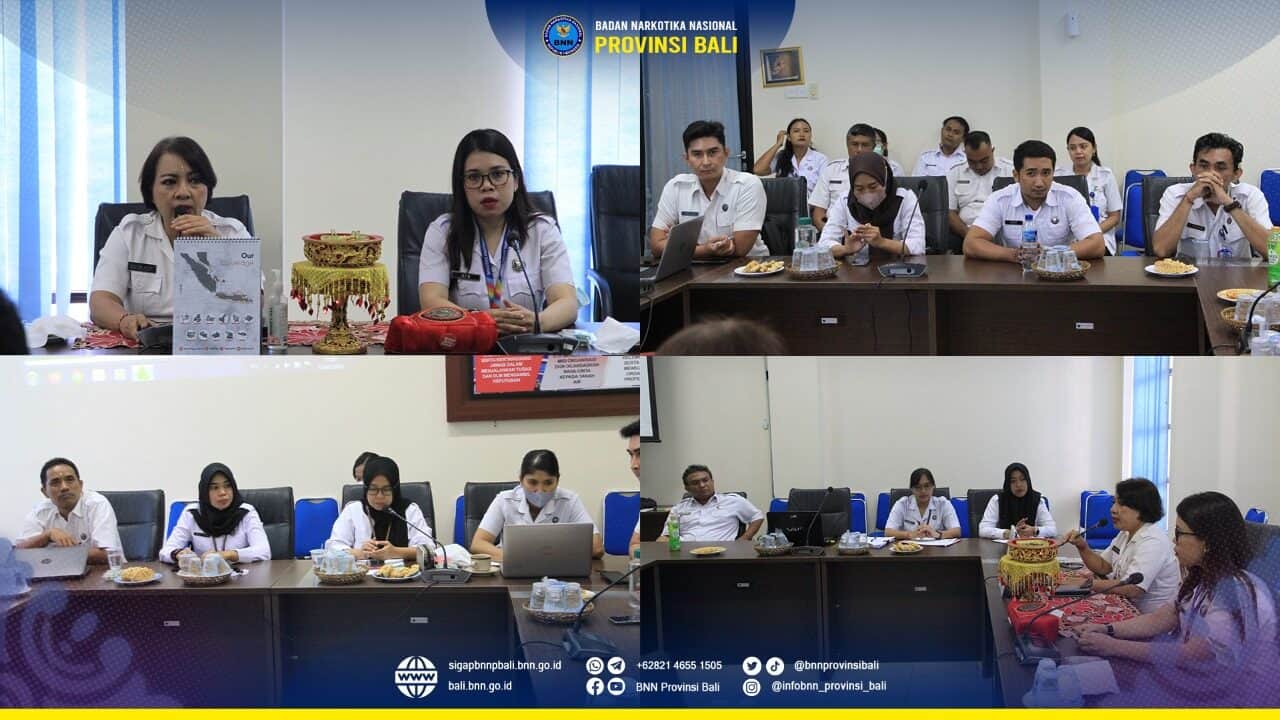 Audiensi kepada Ida Pangelingsir Agung Putra Sukahet ( Ka Asosiasi FKUB Indonesia, Ka Fkub Bali, Bandesa Agung Prov Bali ) Konsep Otomatis