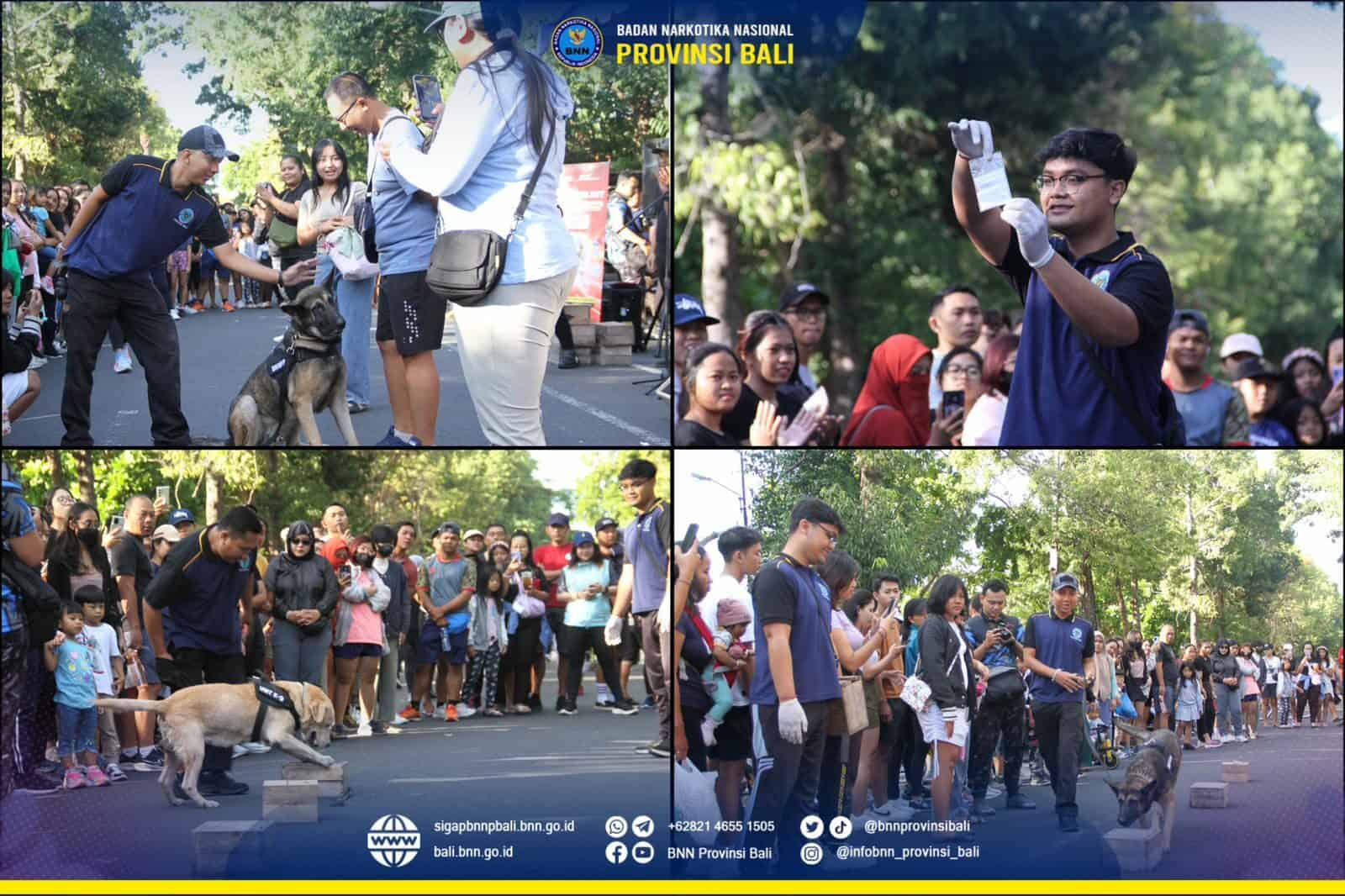 Nama Kegiatan : Simulasi Pelacakan Satwa K-9 BNNP Bali di acara Car Free Day Renon Konsep Otomatis