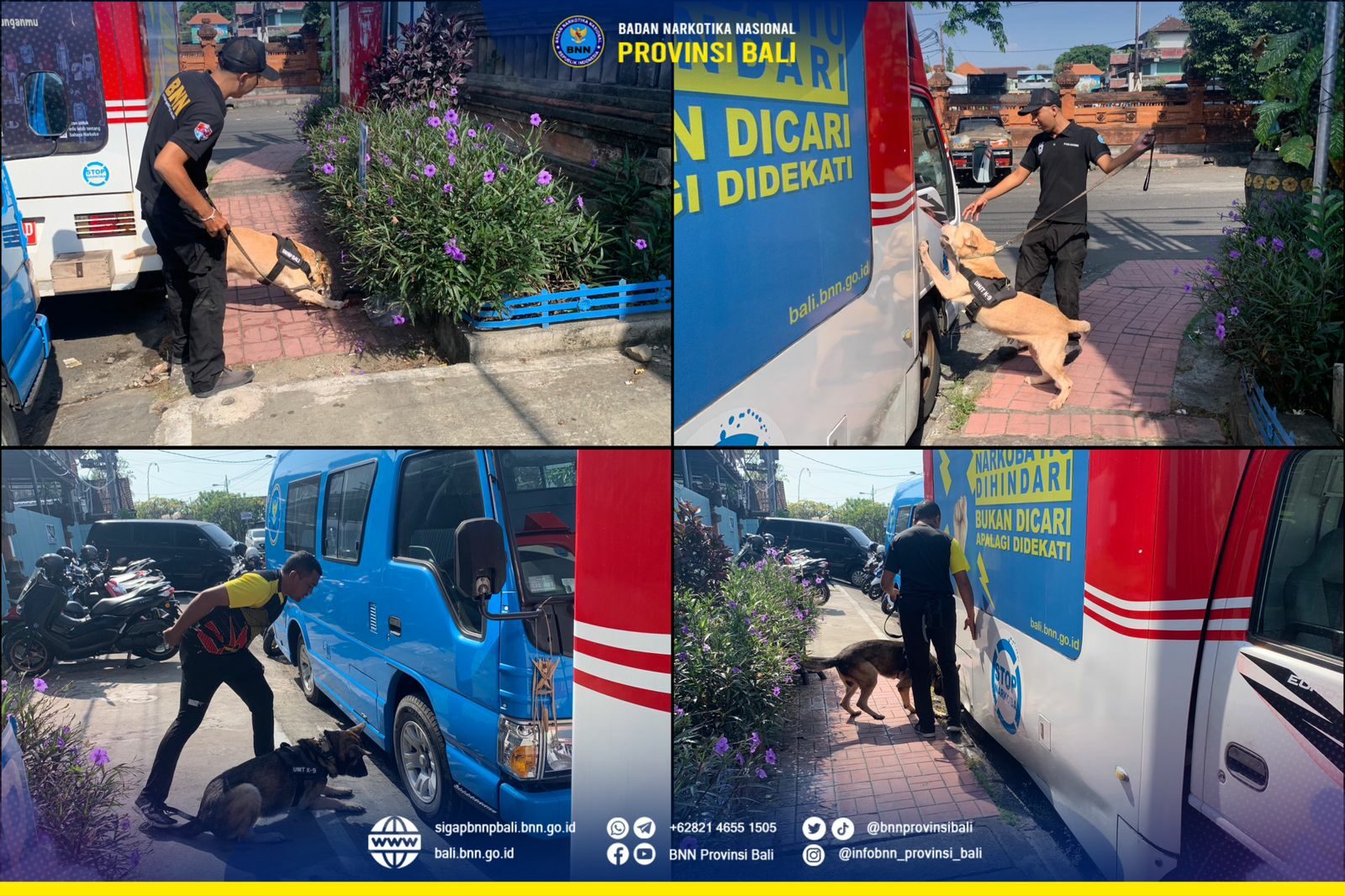 Latihan Rutin Pelacakan Satwa K9 BNNP Bali Konsep Otomatis