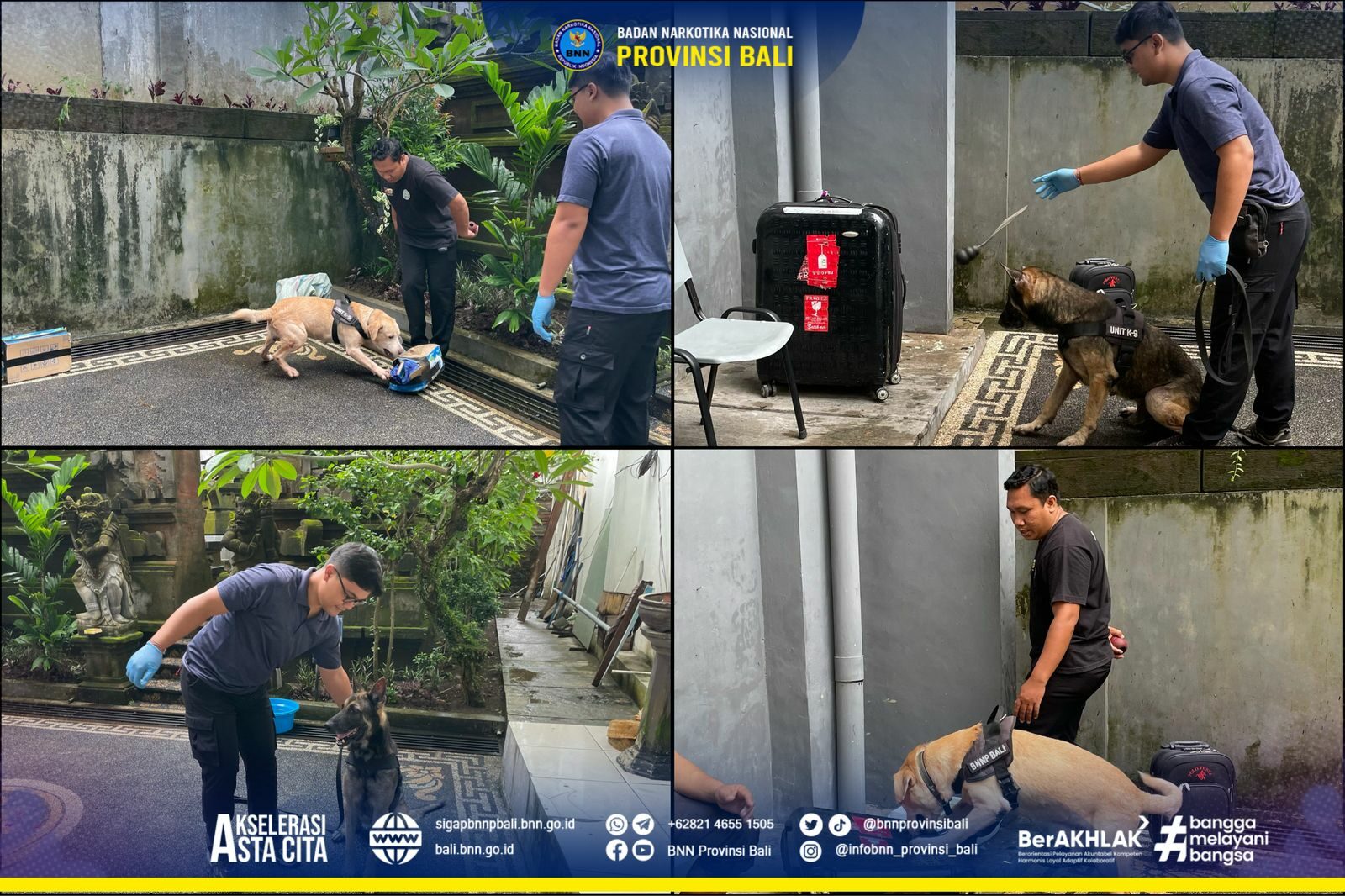 Latihan Rutin Pelacakan Satwa K9 BNNP Bali Konsep Otomatis