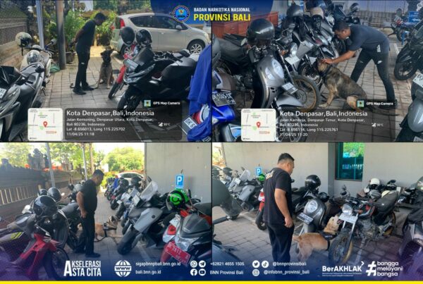 Latihan Rutin Pelacakan Satwa K9 BNNP Bali Konsep Otomatis