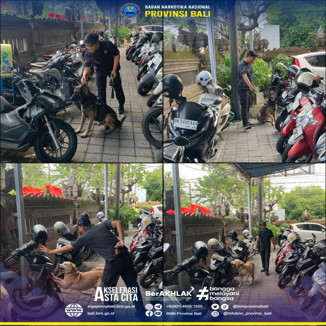 Latihan Rutin Pelacakan Satwa K9 BNNP Bali Konsep Otomatis